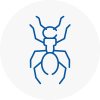 Ant Removals In Ware