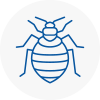 Bed Bug Extermination In Ware