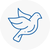 Bird Prevention Ware