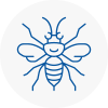 Ware Hornet Nest Removals