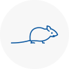 Mice Exterminators In Ware