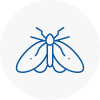 Moth Control Specialists In Ware