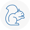 Ware Rodent Removals