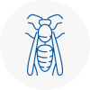 Ware Wasp Nest Removal